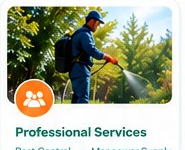 Professional Services